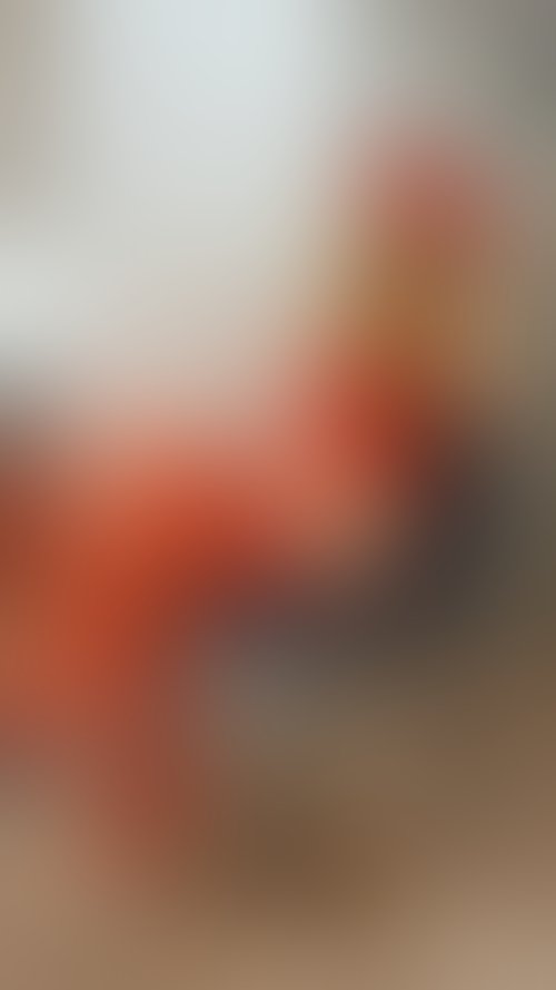 Zdjęcie 19 z galerii Świąteczny album z mikołajką!