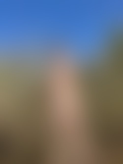 Zdjęcie 7 z galerii Blowjob w plenerze i spuścik do buźki😈