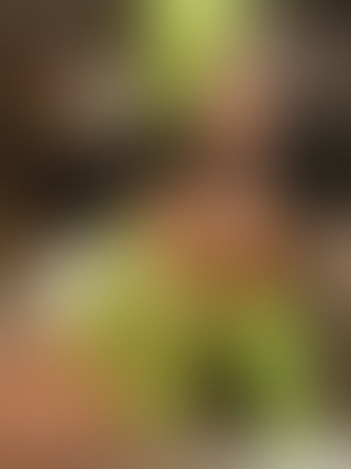 Zdjęcie 29 z galerii Sexy zdjątka😈