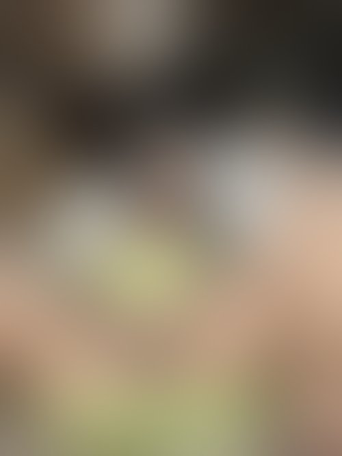 Zdjęcie 6 z galerii Sexy zdjątka😈