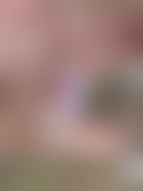 Zdjęcie 19 z galerii Sex w lesie 🍆🍑