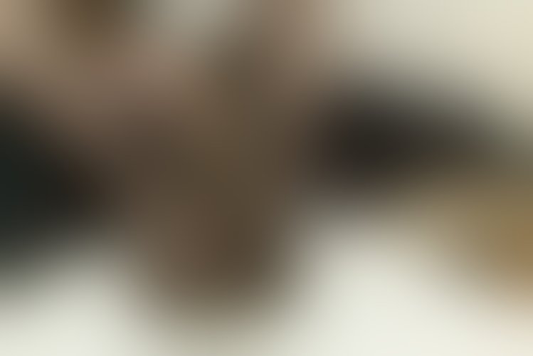Zdjęcie 13 z galerii footjob w pończochach // zdjęcia i filmiki!
