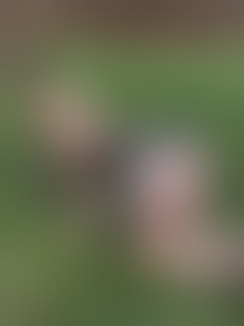 Zdjęcie 7 z galerii Sexi króliczek ostro zerżnięty na Wielkanoc 🐣 😈