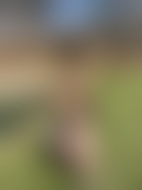 Zdjęcie 14 z galerii Sexi króliczek ostro zerżnięty na Wielkanoc 🐣 😈