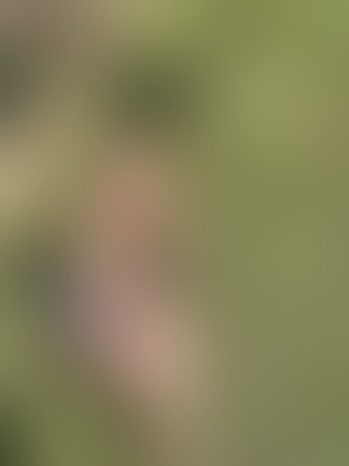 Zdjęcie 18 z galerii Sexi króliczek ostro zerżnięty na Wielkanoc 🐣 😈