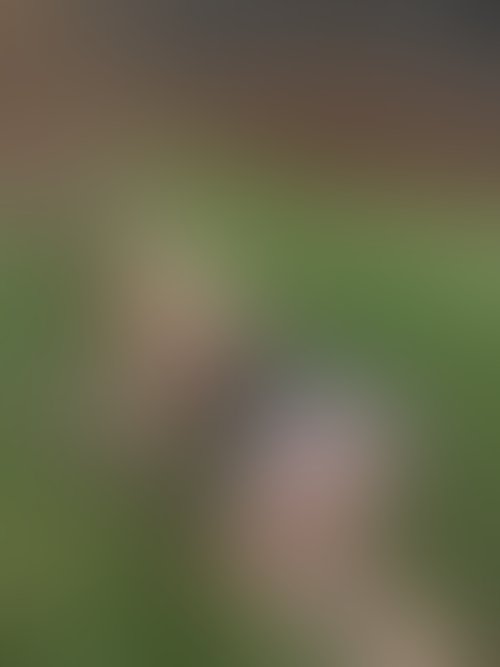 Zdjęcie 12 z galerii Sexi króliczek ostro zerżnięty na Wielkanoc 🐣 😈