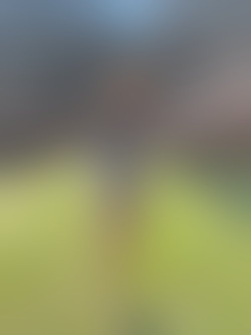 Zdjęcie 15 z galerii Sexi króliczek ostro zerżnięty na Wielkanoc 🐣 😈