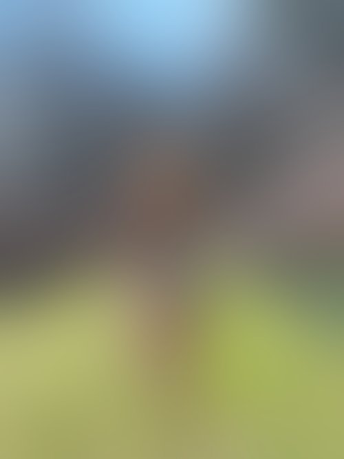 Zdjęcie 19 z galerii Sexi króliczek ostro zerżnięty na Wielkanoc 🐣 😈