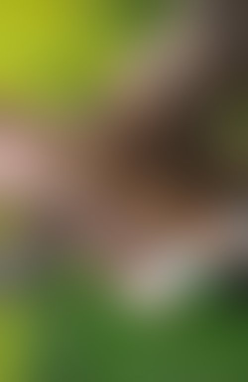 Zdjęcie 54 z galerii VIP, SEX - najlepsze akcje