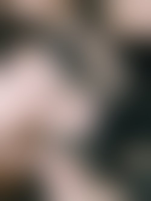 Zdjęcie 28 z galerii Pierwszy album gorącej Juddy