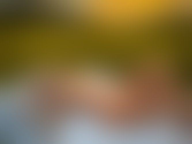 Zdjęcie 27 z galerii Letni zachód słońca