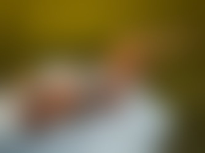 Zdjęcie 38 z galerii Letni zachód słońca