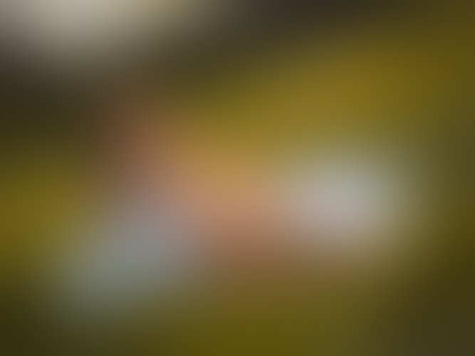 Zdjęcie 25 z galerii Letni zachód słońca