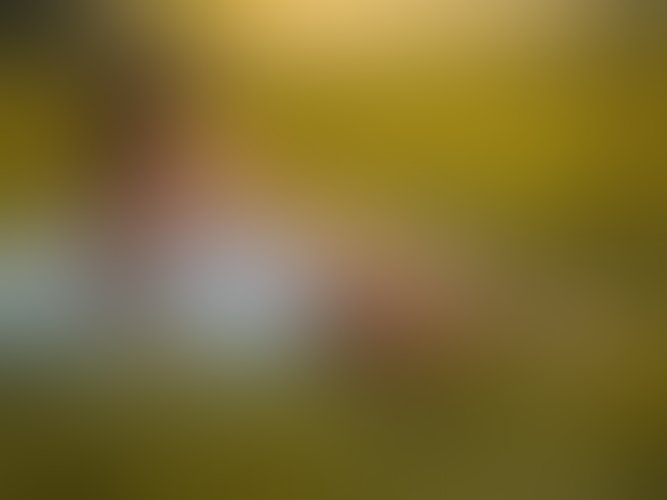 Zdjęcie 21 z galerii Letni zachód słońca