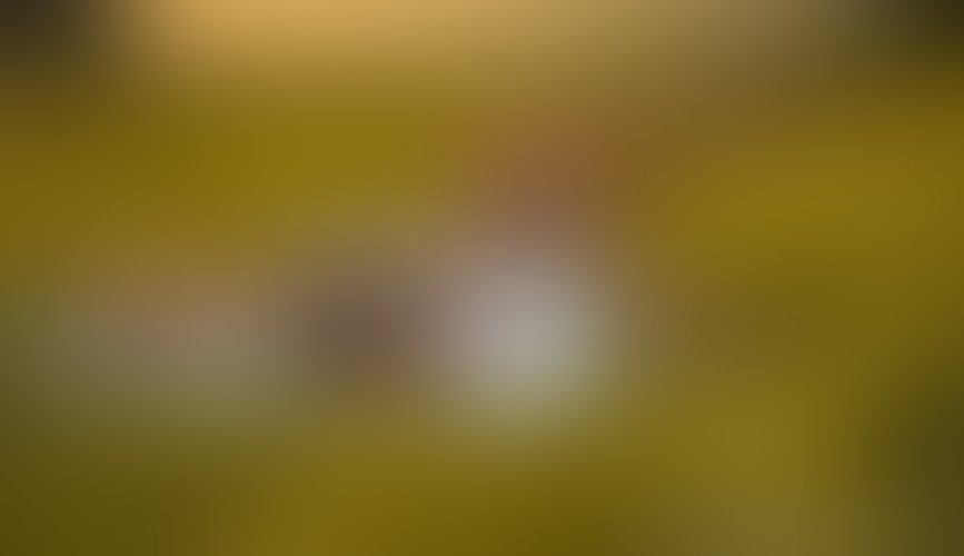 Zdjęcie 19 z galerii Letni zachód słońca