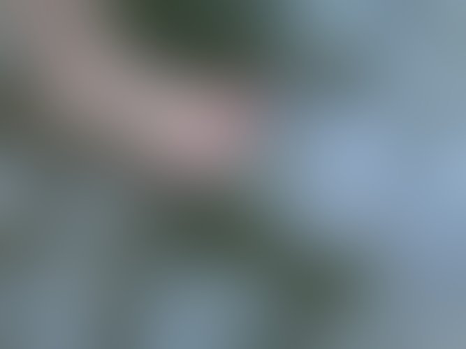 Zdjęcie 17 z galerii Zdjęcia stóp