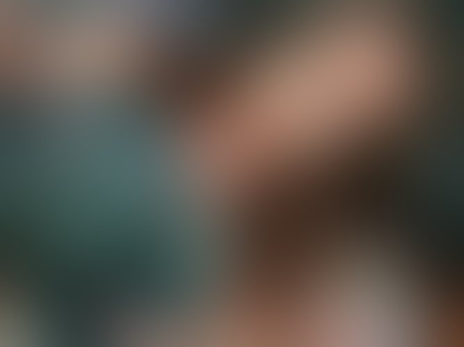 Zdjęcie 84 z galerii WSZYSTKIE ZDJĘCIA