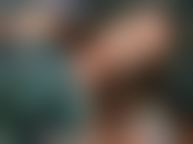 Zdjęcie 83 z galerii WSZYSTKIE ZDJĘCIA