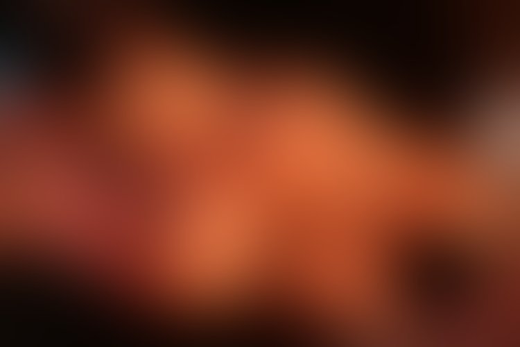 Zdjęcie 4 z galerii SESJA Z POLĄ CHIHUAHUĄ
