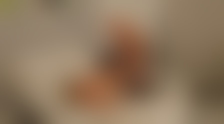 Zdjęcie 15 z galerii Kolejny  19 letni Prawiczek na Szkoleniu u Mamusi