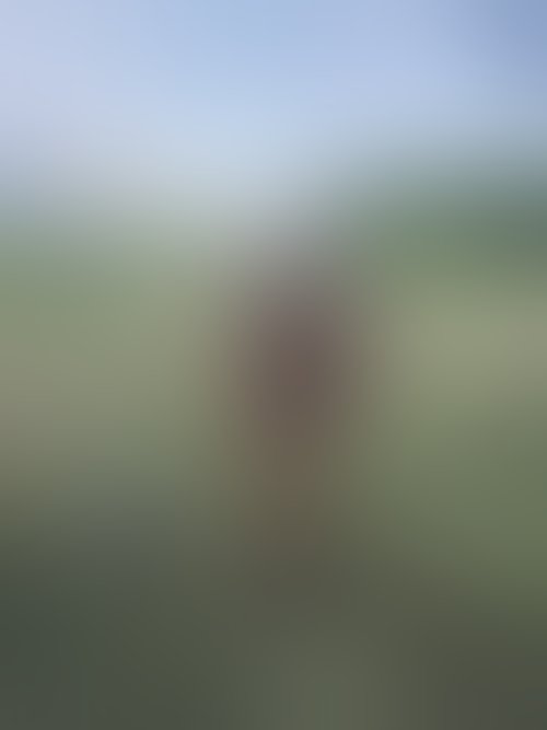Zdjęcie 466 z galerii Pakiet 55 Filmów Z Mojego Albumu + 450 Nagich Zdjęć . 10 Godzin Filmów ze mną i ostrego Rżnięcia !