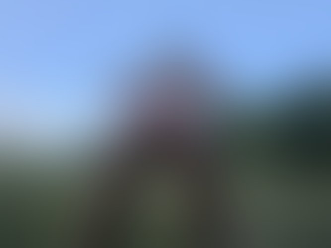 Zdjęcie 459 z galerii Pakiet 55 Filmów Z Mojego Albumu + 450 Nagich Zdjęć . 10 Godzin Filmów ze mną i ostrego Rżnięcia !