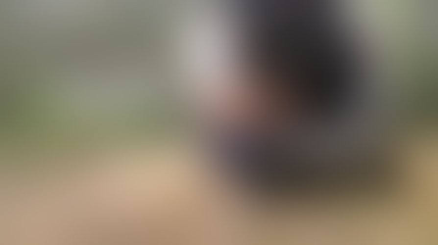 Zdjęcie 4 z galerii Fan i jego olbrzymi Grzyb który mnie zaskoczyl