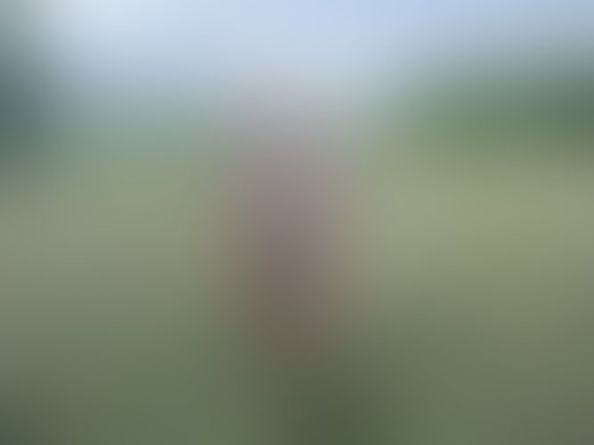 Zdjęcie 455 z galerii Pakiet 55 Filmów Z Mojego Albumu + 450 Nagich Zdjęć . 10 Godzin Filmów ze mną i ostrego Rżnięcia !