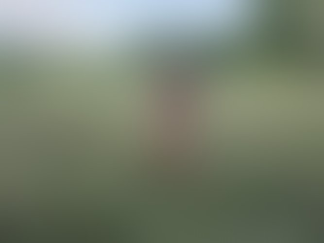 Zdjęcie 457 z galerii Pakiet 55 Filmów Z Mojego Albumu + 450 Nagich Zdjęć . 10 Godzin Filmów ze mną i ostrego Rżnięcia !