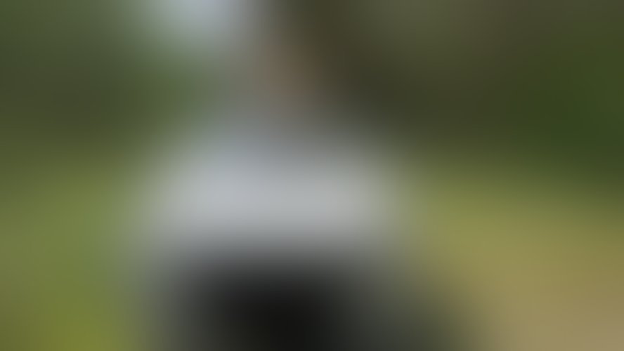 Zdjęcie 100 z galerii Pakiet 55 Filmów Z Mojego Albumu + 450 Nagich Zdjęć . 10 Godzin Filmów ze mną i ostrego Rżnięcia !