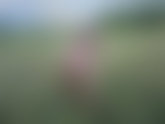 Zdjęcie 460 z galerii Pakiet 55 Filmów Z Mojego Albumu + 450 Nagich Zdjęć . 10 Godzin Filmów ze mną i ostrego Rżnięcia !