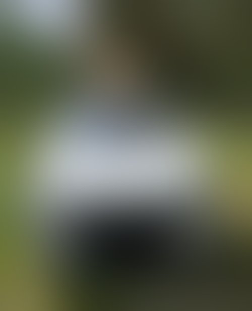 Zdjęcie 110 z galerii Pakiet 55 Filmów Z Mojego Albumu + 450 Nagich Zdjęć . 10 Godzin Filmów ze mną i ostrego Rżnięcia !