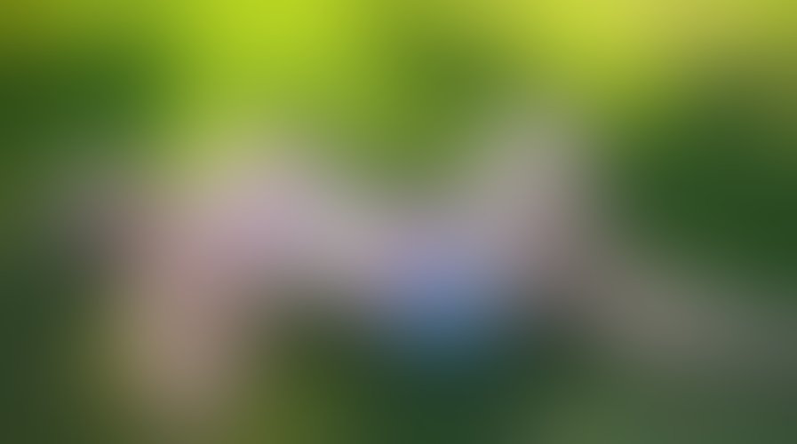 Zdjęcie 237 z galerii Pakiet 55 Filmów Z Mojego Albumu + 450 Nagich Zdjęć . 10 Godzin Filmów ze mną i ostrego Rżnięcia !