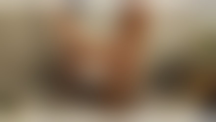 Zdjęcie 9 z galerii Dwóch Kolegów z Liceum 18 I 19 Lat skorzystali z mojego Ogłoszenia żeby poznać smak Sexu z Milf