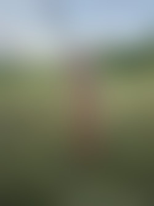 Zdjęcie 463 z galerii Pakiet 55 Filmów Z Mojego Albumu + 450 Nagich Zdjęć . 10 Godzin Filmów ze mną i ostrego Rżnięcia !