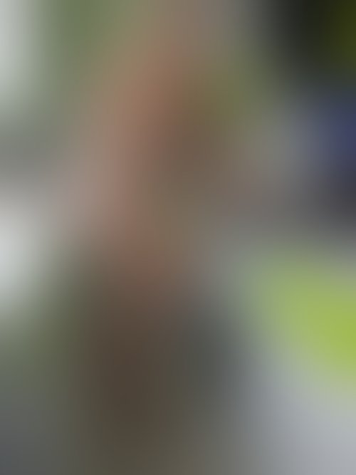 Zdjęcie 267 z galerii Pakiet 55 Filmów Z Mojego Albumu + 450 Nagich Zdjęć . 10 Godzin Filmów ze mną i ostrego Rżnięcia !