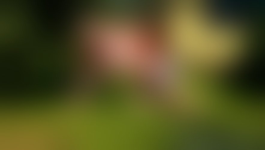 Zdjęcie 235 z galerii Pakiet 55 Filmów Z Mojego Albumu + 450 Nagich Zdjęć . 10 Godzin Filmów ze mną i ostrego Rżnięcia !