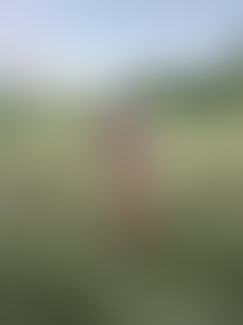 Zdjęcie 464 z galerii Pakiet 55 Filmów Z Mojego Albumu + 450 Nagich Zdjęć . 10 Godzin Filmów ze mną i ostrego Rżnięcia !