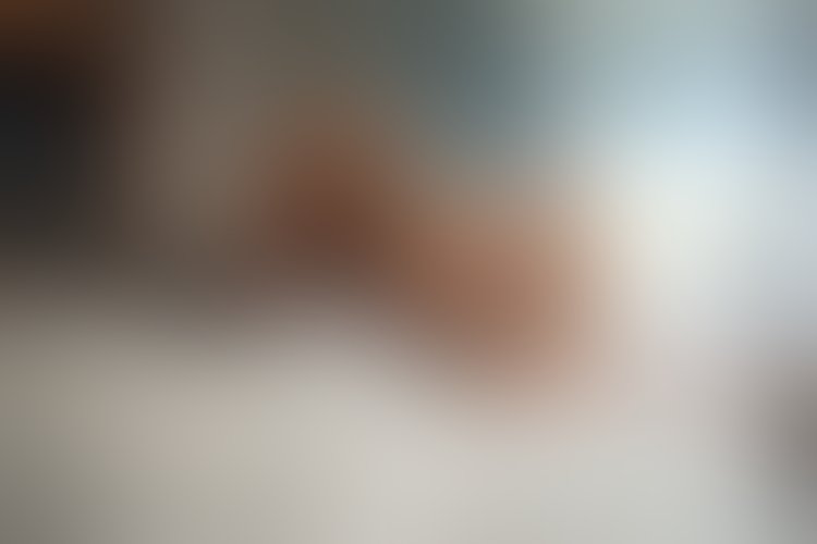 Zdjęcie 9 z galerii Galeria bez tytułu