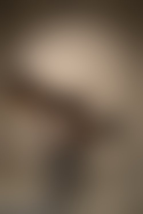 Zdjęcie 15 z galerii 80 najnowszych nudesków 
Sesja sensualna