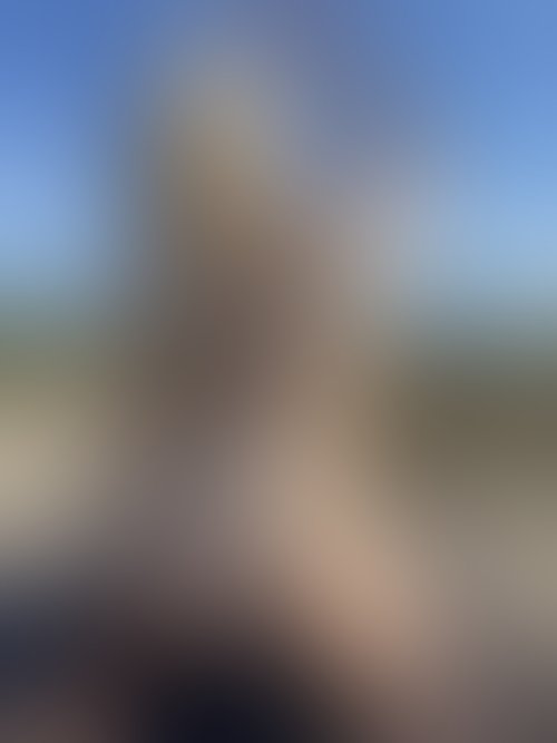 Zdjęcie 15 z galerii NAJMOCNIEJSZY ALBUM Z PLENERKU!! 🌵🌴