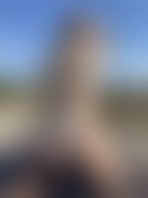 Zdjęcie 14 z galerii NAJMOCNIEJSZY ALBUM Z PLENERKU!! 🌵🌴