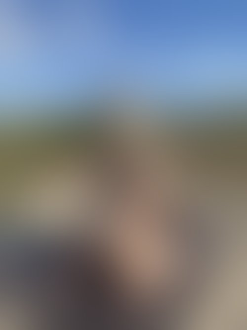 Zdjęcie 12 z galerii NAJMOCNIEJSZY ALBUM Z PLENERKU!! 🌵🌴