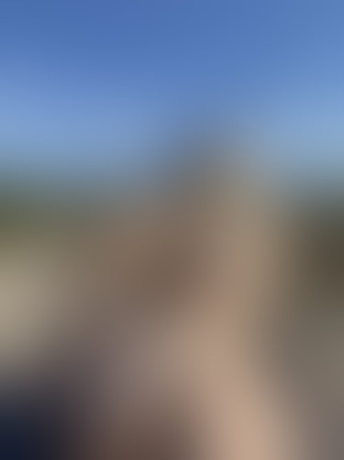 Zdjęcie 20 z galerii NAJMOCNIEJSZY ALBUM Z PLENERKU!! 🌵🌴