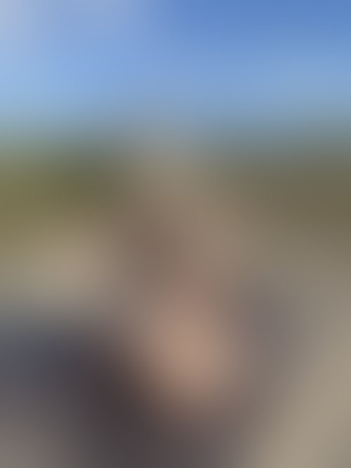 Zdjęcie 11 z galerii NAJMOCNIEJSZY ALBUM Z PLENERKU!! 🌵🌴