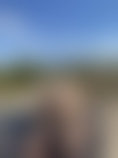Zdjęcie 5 z galerii NAJMOCNIEJSZY ALBUM Z PLENERKU!! 🌵🌴