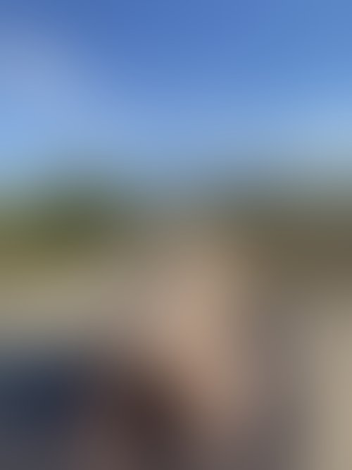 Zdjęcie 4 z galerii NAJMOCNIEJSZY ALBUM Z PLENERKU!! 🌵🌴