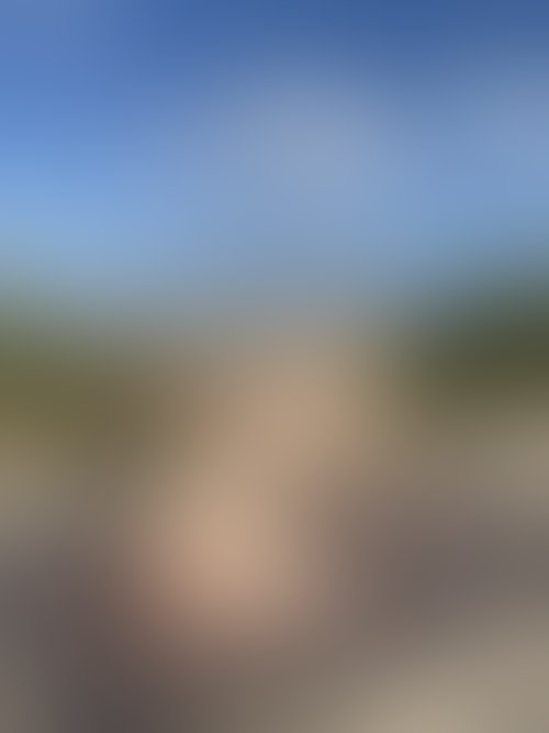 Zdjęcie 9 z galerii NAJMOCNIEJSZY ALBUM Z PLENERKU!! 🌵🌴