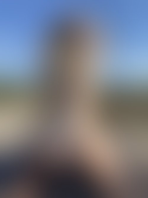 Zdjęcie 16 z galerii NAJMOCNIEJSZY ALBUM Z PLENERKU!! 🌵🌴