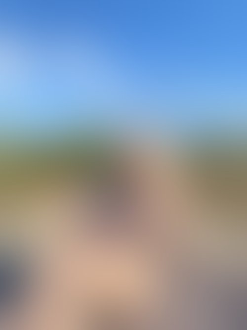 Zdjęcie 33 z galerii NAJMOCNIEJSZY ALBUM Z PLENERKU!! 🌵🌴